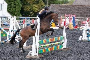 Class 7 - Fences 3' to 3'3